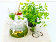 mint tea